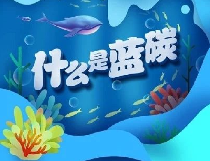 圖解｜你知道“藍碳”是什么嗎？